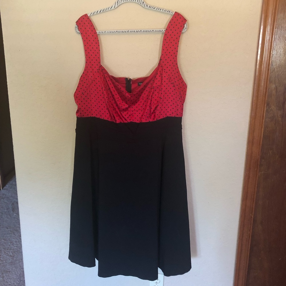 Torrid dress